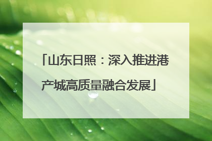 山东日照：深入推进港产城高质量融合发展