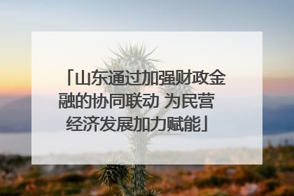 山东通过加强财政金融的协同联动 为民营经济发展加力赋能