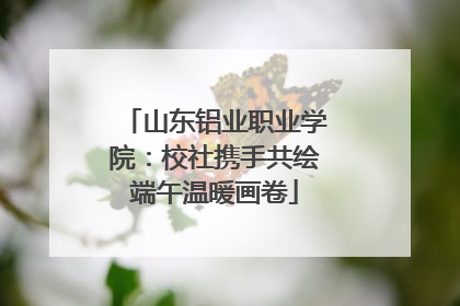 山东铝业职业学院：校社携手共绘端午温暖画卷