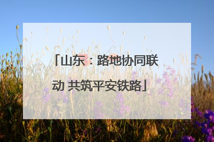 山东：路地协同联动 共筑平安铁路
