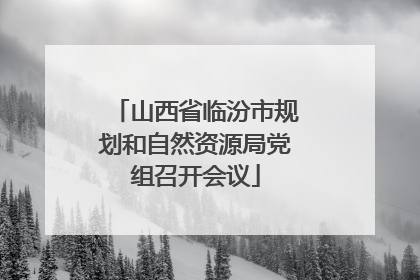 山西省临汾市规划和自然资源局党组召开会议