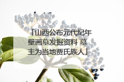 山西公布元代纪年壁画墓发掘资料 墓主为当地贾氏族人