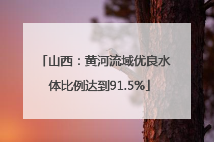 山西：黄河流域优良水体比例达到91.5%