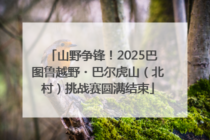 山野争锋！2025巴图鲁越野・巴尔虎山（北村）挑战赛圆满结束