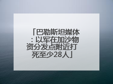 巴勒斯坦媒体：以军在加沙物资分发点附近打死至少28人