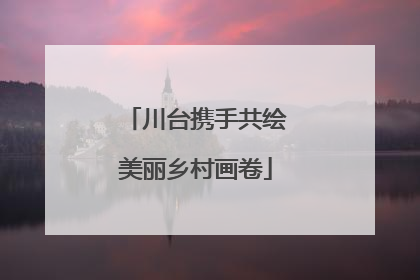 川台携手共绘美丽乡村画卷