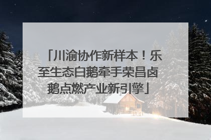 川渝协作新样本！乐至生态白鹅牵手荣昌卤鹅点燃产业新引擎