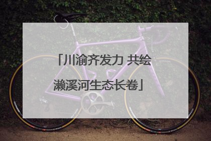 川渝齐发力 共绘濑溪河生态长卷