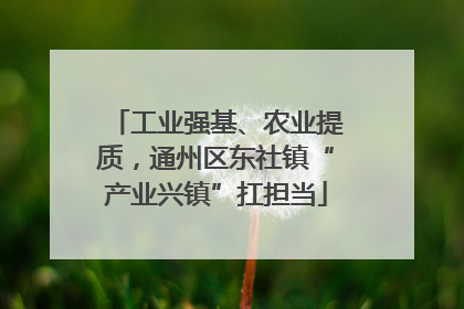 工业强基、农业提质，通州区东社镇“产业兴镇”扛担当