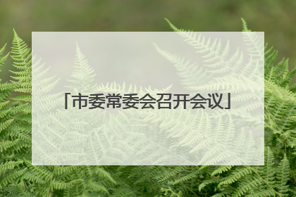 市委常委会召开会议