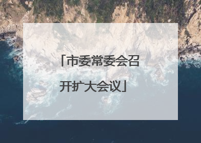 市委常委会召开扩大会议