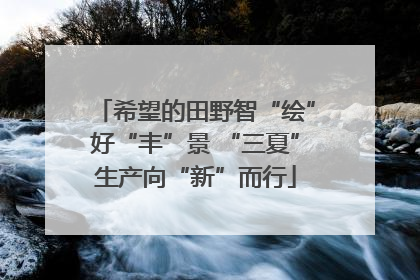 希望的田野智“绘”好“丰”景 “三夏”生产向“新”而行