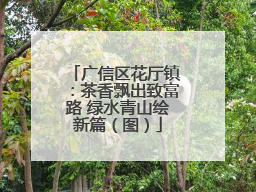 广信区花厅镇：茶香飘出致富路 绿水青山绘新篇（图）