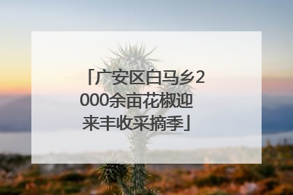广安区白马乡2000余亩花椒迎来丰收采摘季