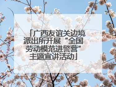 广西友谊关边境派出所开展“全国劳动模范进警营”主题宣讲活动