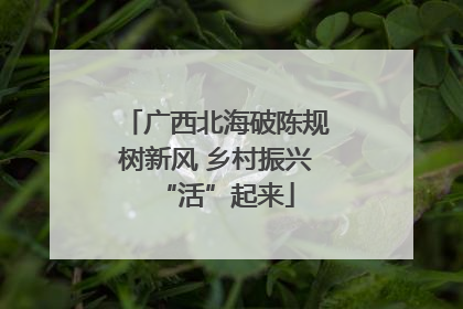 广西北海破陈规树新风 乡村振兴“活”起来