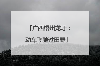 广西梧州龙圩：动车飞驰过田野