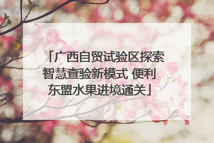 广西自贸试验区探索智慧查验新模式 便利东盟水果进境通关