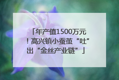 年产值1500万元！高兴镇小蚕茧“吐”出“金丝产业链”
