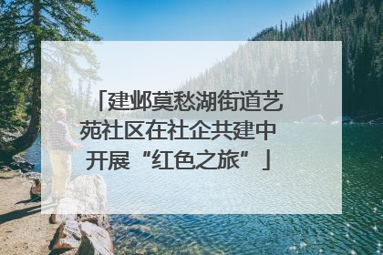 建邺莫愁湖街道艺苑社区在社企共建中开展“红色之旅”