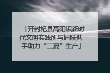 开封杞县高阳镇新时代文明实践所与妇联携手助力“三夏”生产