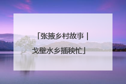 张掖乡村故事｜戈壁水乡插秧忙