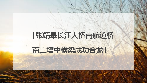 张靖皋长江大桥南航道桥南主塔中横梁成功合龙