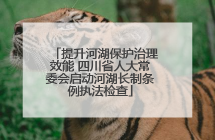 提升河湖保护治理效能 四川省人大常委会启动河湖长制条例执法检查