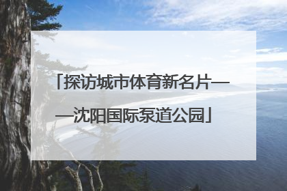 探访城市体育新名片——沈阳国际泵道公园