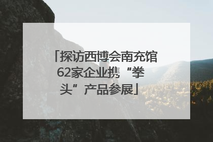 探访西博会南充馆 62家企业携“拳头”产品参展