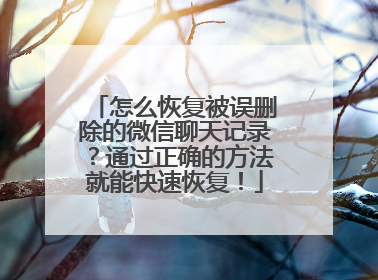 怎么恢复被误删除的微信聊天记录？通过正确的方法就能快速恢复！