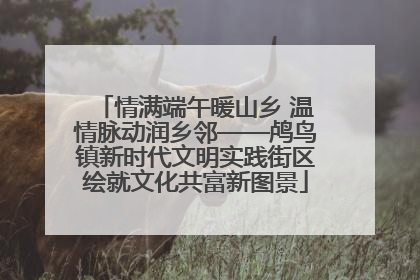 情满端午暖山乡 温情脉动润乡邻——鸬鸟镇新时代文明实践街区绘就文化共富新图景