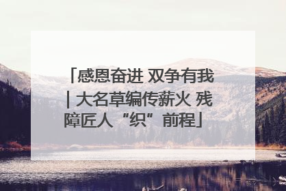 感恩奋进 双争有我｜大名草编传薪火 残障匠人“织”前程