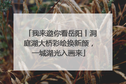 我来邀你看岳阳丨洞庭湖大桥彩绘换新颜，一城湖光入画来