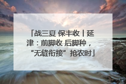 战三夏 保丰收丨延津：前脚收 后脚种，“无缝衔接”抢农时