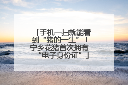 手机一扫就能看到“猪的一生”！宁乡花猪首次拥有“电子身份证”
