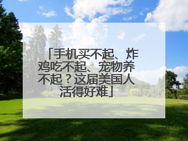 手机买不起、炸鸡吃不起、宠物养不起？这届美国人活得好难