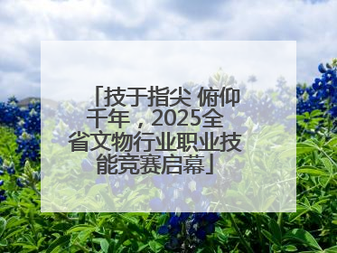 技于指尖 俯仰千年，2025全省文物行业职业技能竞赛启幕