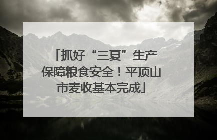 抓好“三夏”生产 保障粮食安全！平顶山市麦收基本完成