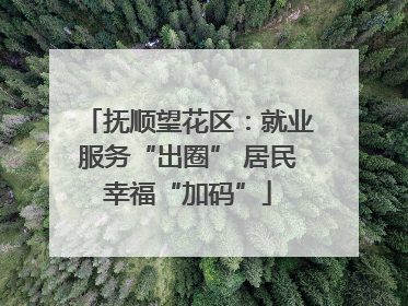 抚顺望花区：就业服务“出圈” 居民幸福“加码”