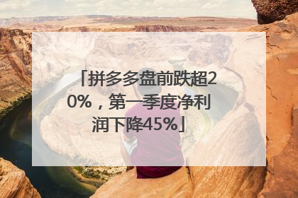 拼多多盘前跌超20%，第一季度净利润下降45%