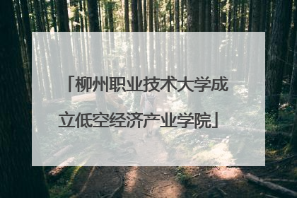 柳州职业技术大学成立低空经济产业学院