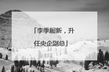 李季履新，升任央企副总