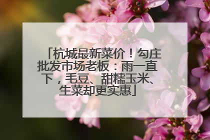 杭城最新菜价！勾庄批发市场老板：雨一直下，毛豆、甜糯玉米、生菜却更实惠