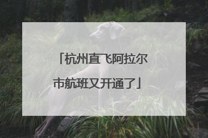 杭州直飞阿拉尔市航班又开通了