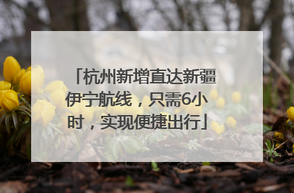 杭州新增直达新疆伊宁航线，只需6小时，实现便捷出行