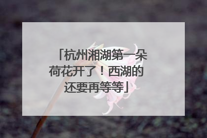 杭州湘湖第一朵荷花开了！西湖的还要再等等
