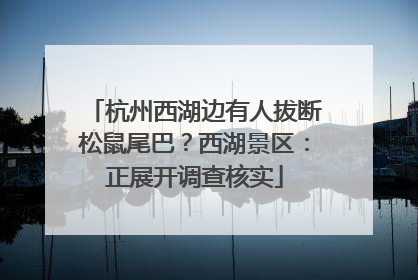 杭州西湖边有人拔断松鼠尾巴？西湖景区：正展开调查核实