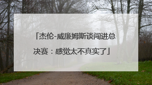杰伦-威廉姆斯谈闯进总决赛：感觉太不真实了