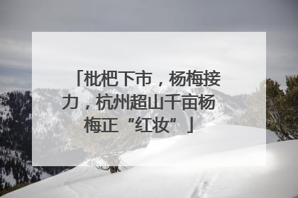 枇杷下市，杨梅接力，杭州超山千亩杨梅正“红妆”
